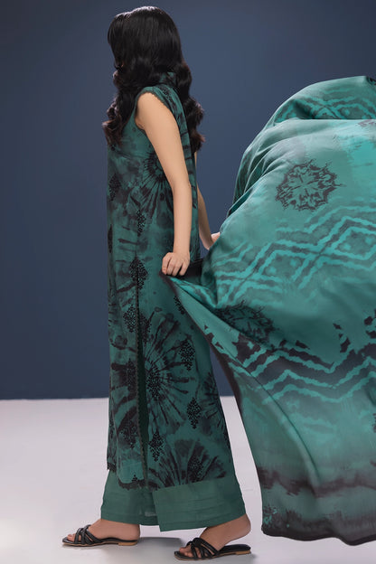 3 Piece - Embroidered Viscose - WD1102