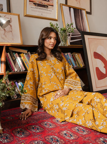 2 Piece - Printed Khaddar - Lumiere - Solara