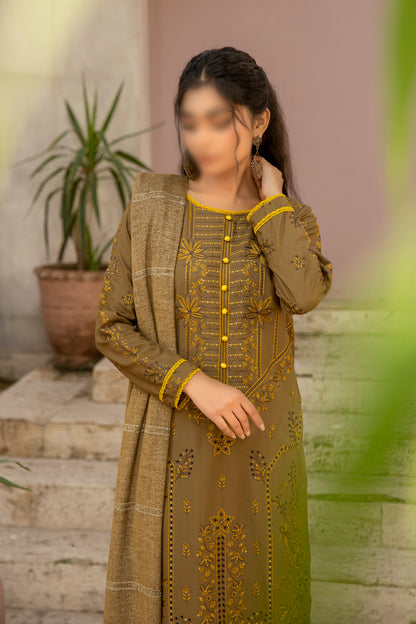 3 Piece - Embroidered Dhanak - Pahnawa 202