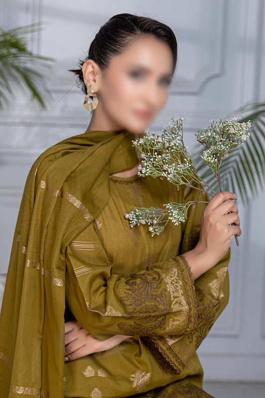 3 Piece - Jacquard Brosha Lawn - RimJim 308