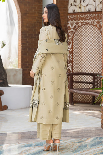3 Piece - Embroidered Karandi - Riwayat 102